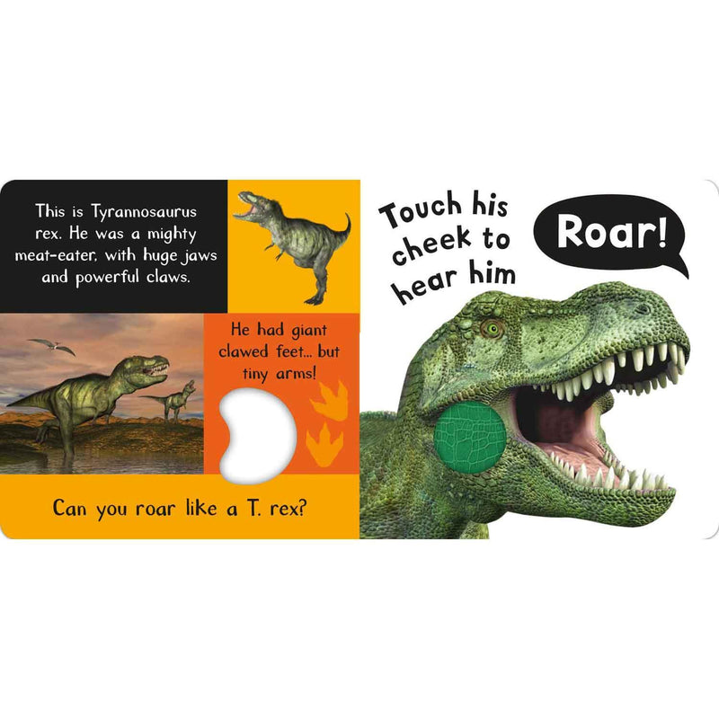 Noisy Dinosaurs (Touch and Feel Sound Board Book) PRHUS
