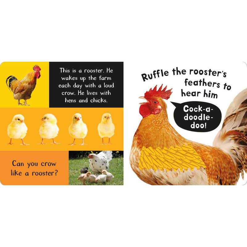 Noisy Farm (Touch and Feel Sound Board Book) PRHUS