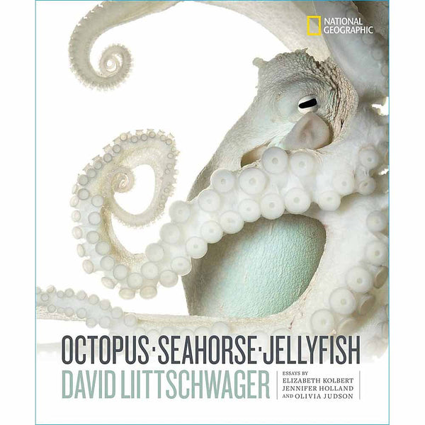 Octopus, Seahorse, Jellyfish (Hardback) - 買書書 BuyBookBook
