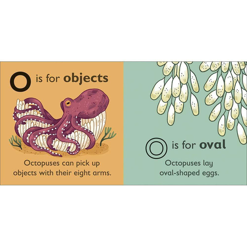 O is for Octopus (Board book) DK UK