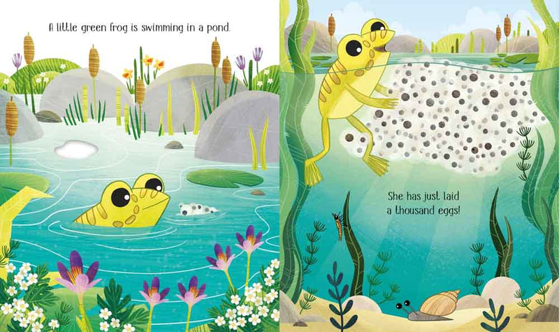 One Little Frog - 買書書 BuyBookBook