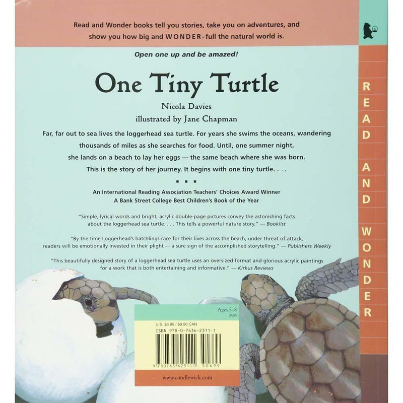 One Tiny Turtle Candlewick Press