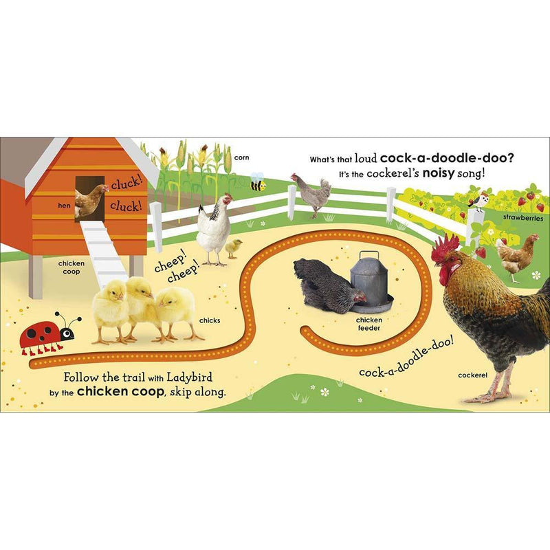 On the Farm with a Ladybird (Board book) DK UK