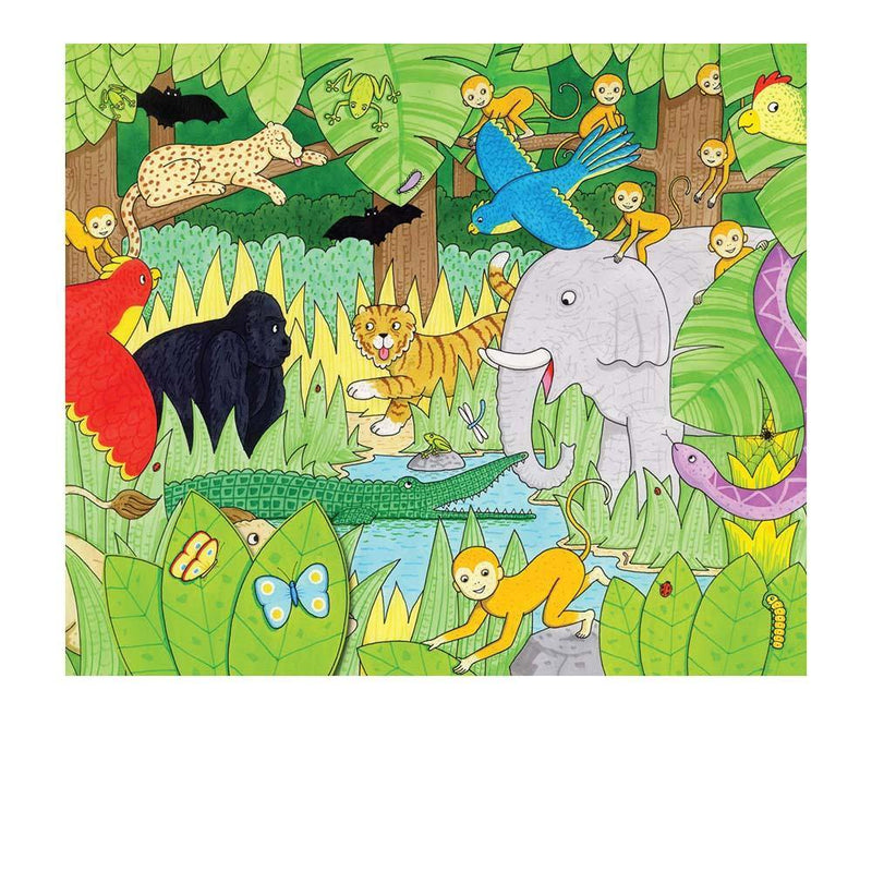 Our Jungle (Board Book) (Rod Campbell) Campbell