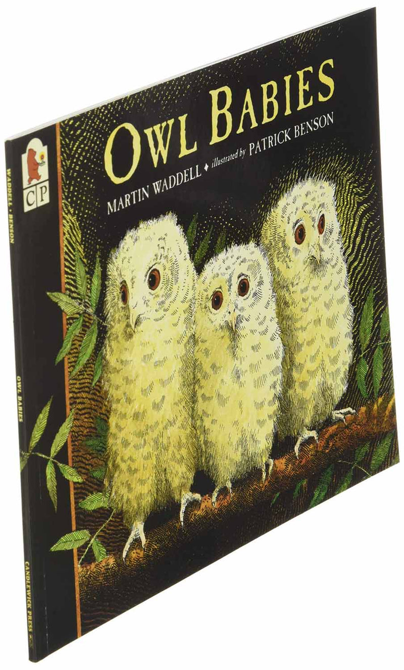 Owl Babies (Paperback) Candlewick Press