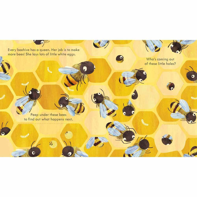 Peep Inside a Beehive Usborne