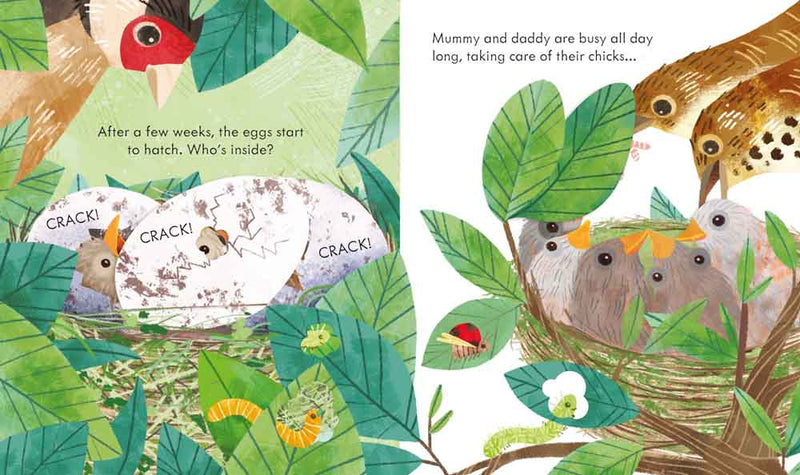 Peep Inside a Bird's Nest - 買書書 BuyBookBook