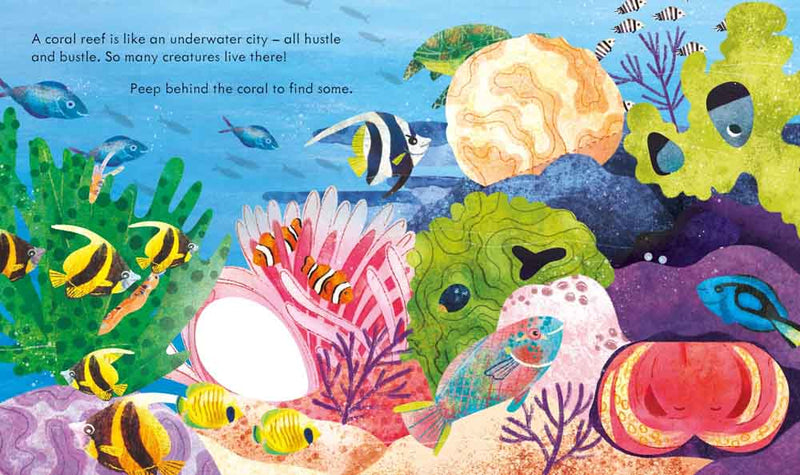 Peep inside a Coral Reef - 買書書 BuyBookBook