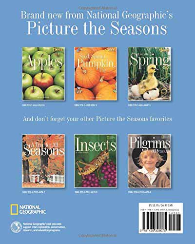 Picture the Seasons - Everything Spring - 買書書 BuyBookBook
