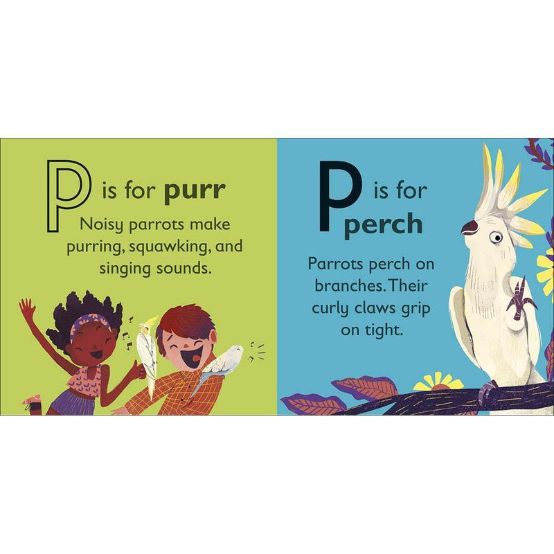 P is for Parrot (Board book) DK UK