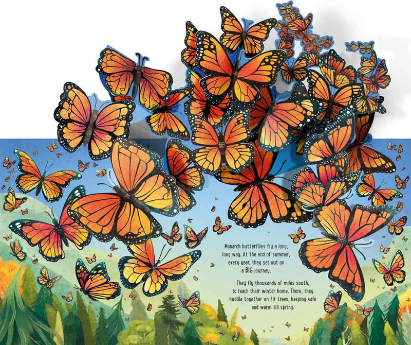 Pop-Up Butterflies - 買書書 BuyBookBook