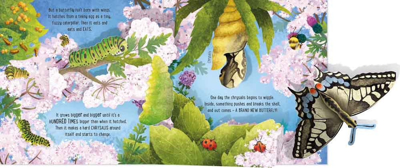 Pop-Up Butterflies - 買書書 BuyBookBook