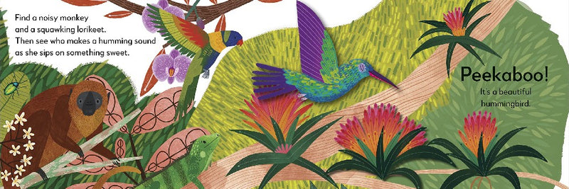 Pop-Up Peekaboo! - Rainforest-Nonfiction: 動物植物 Animal & Plant-買書書 BuyBookBook