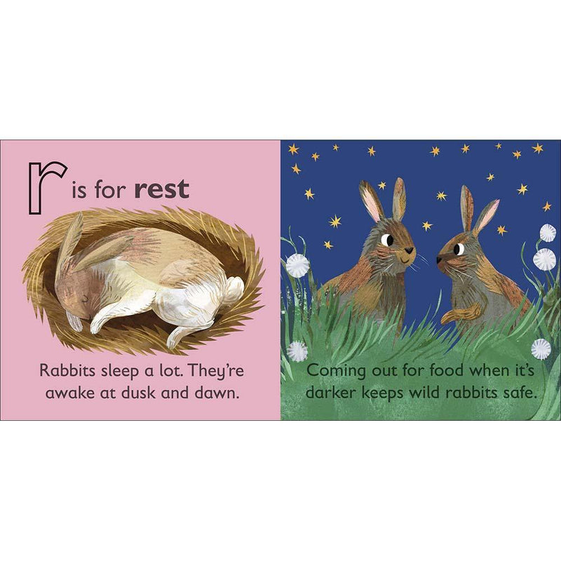 R is for Rabbit (Board book) DK UK
