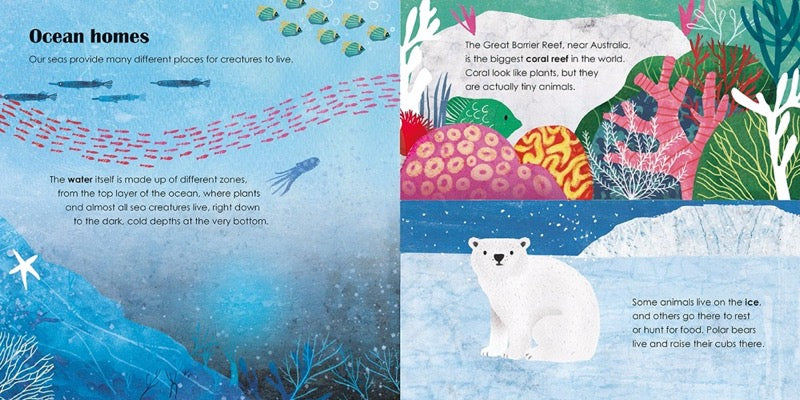 Ladybird Eco Books : Seas (Ladybird) - 買書書 BuyBookBook