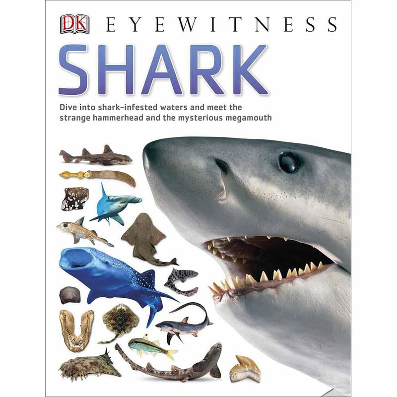 DK Eyewitness - Shark (Paperback) DK UK