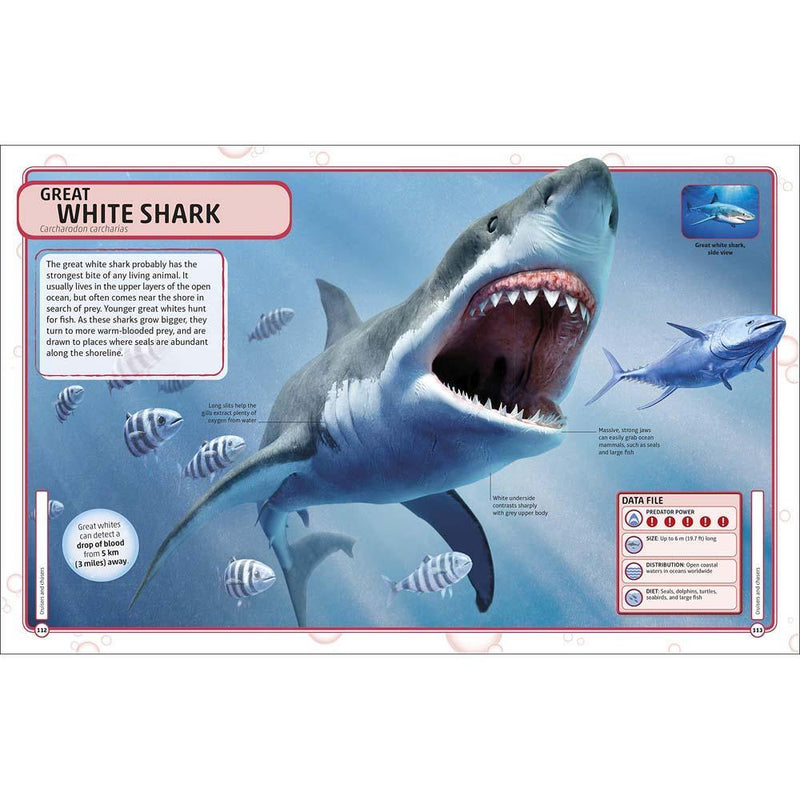 Sharks and Other Deadly Ocean Creatures (Hardback) DK UK
