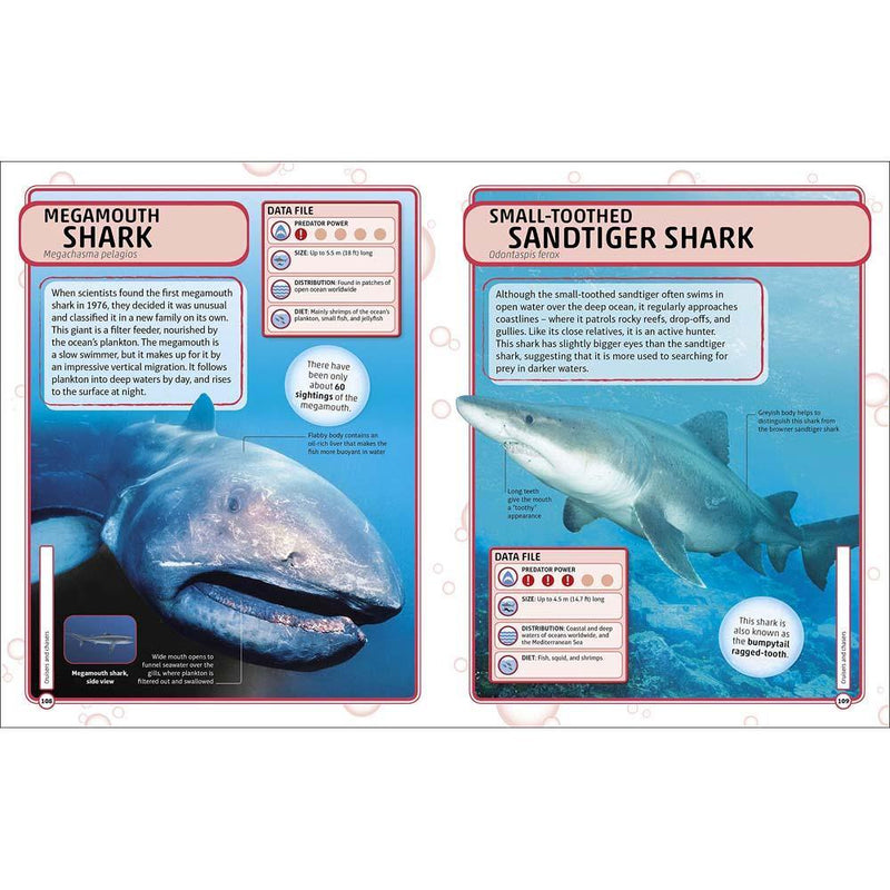 Sharks and Other Deadly Ocean Creatures (Hardback) DK UK