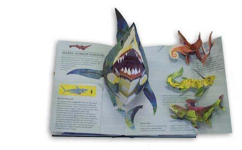 Sharks and Other Sea Monsters Pop-up Book (Hard back) (Pop Candlewick Press