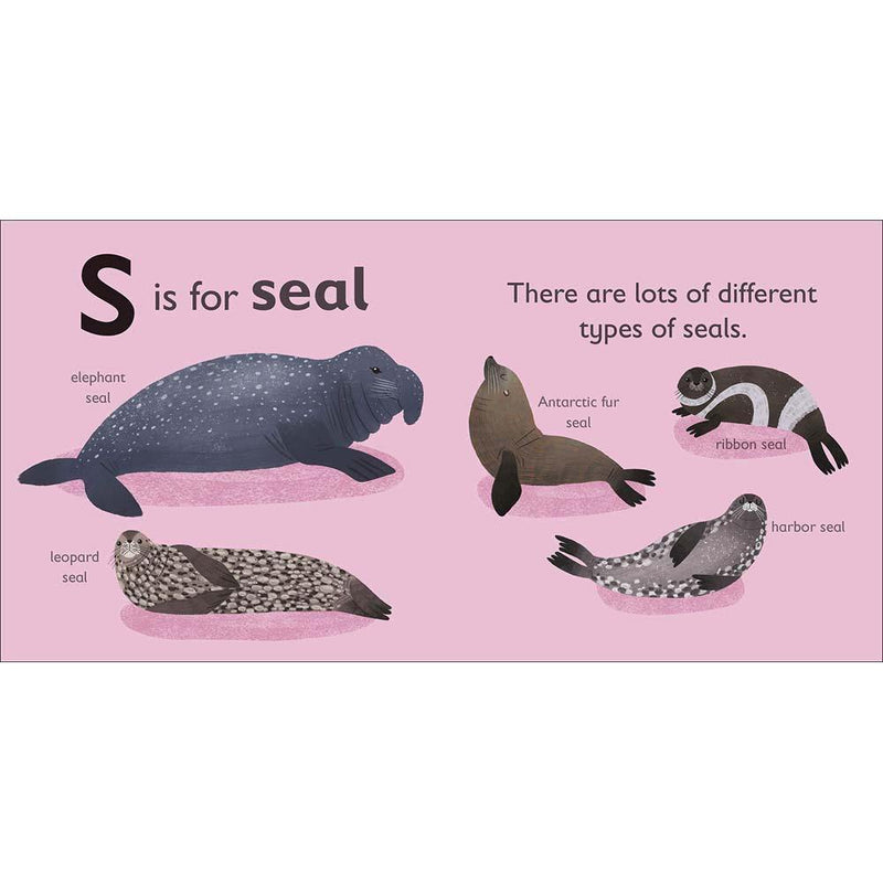 S is for Seal (Board book) DK UK