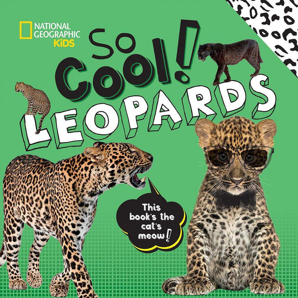 NGK: So Cool! Leopards (Hardback) National Geographic