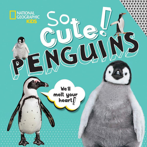 NGK: So Cute! Penguins (Hardback) National Geographic
