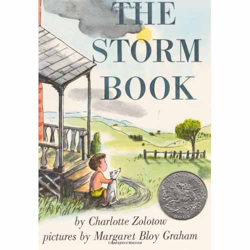 Storm Book, The (Paperback) - 買書書 BuyBookBook