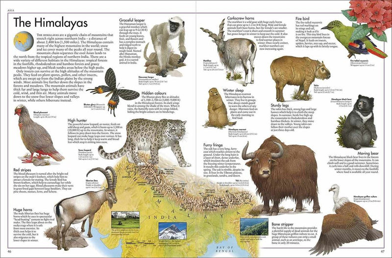 Animal Atlas, The DK UK