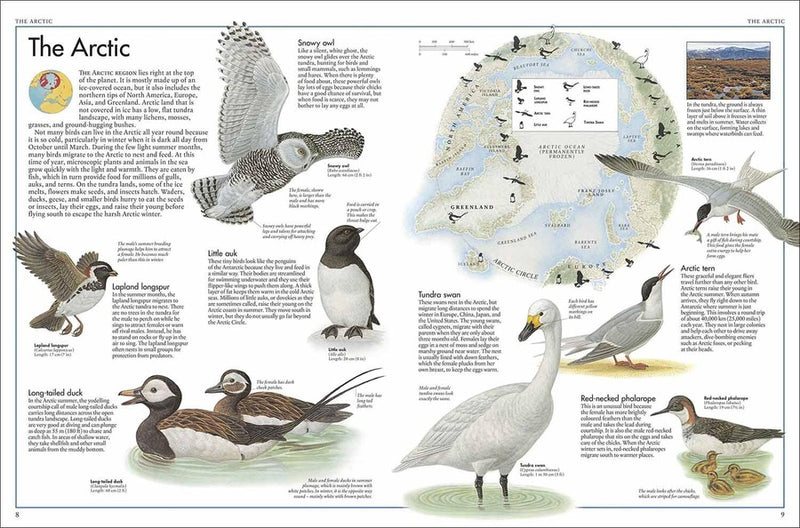 Bird Atlas, The DK UK