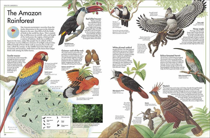 Bird Atlas, The DK UK