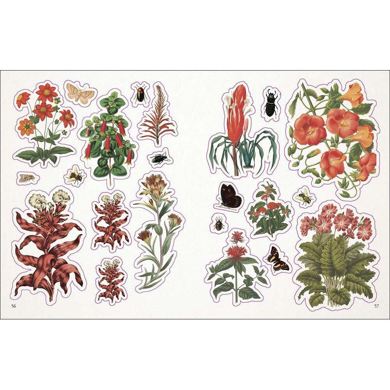 The Botanist's Sticker Anthology (Hardback) DK US