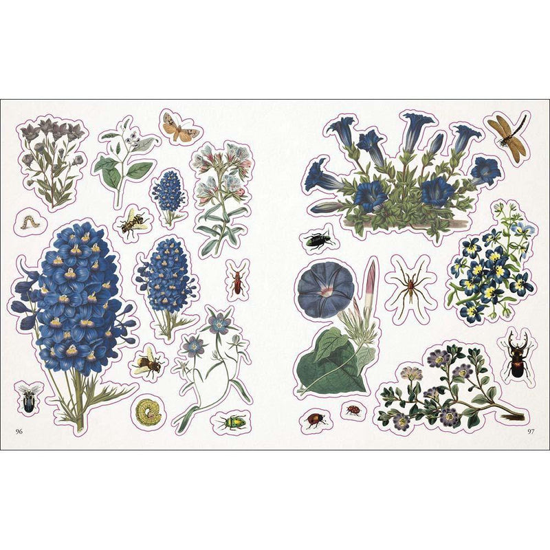 The Botanist's Sticker Anthology (Hardback) DK US