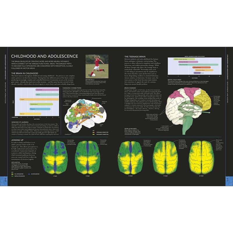 The Brain Book - An Illustrated Guide to its Structure, Functions, and Disorders (Hardback) DK UK