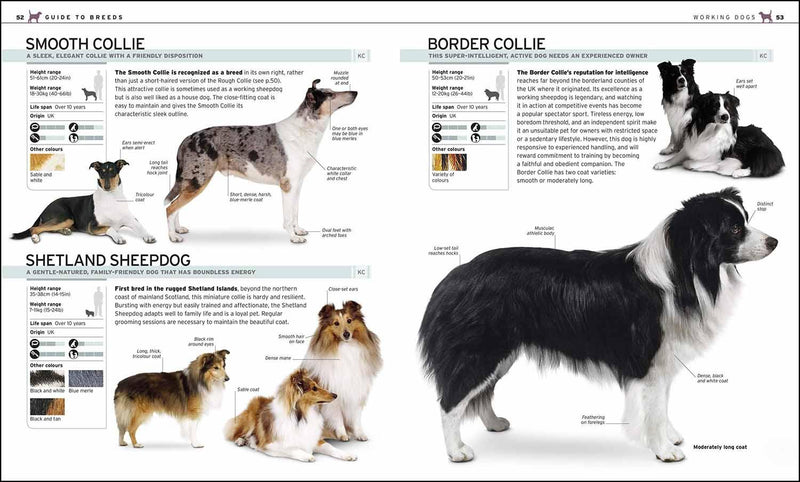 Complete Dog Breed Book, The DK UK