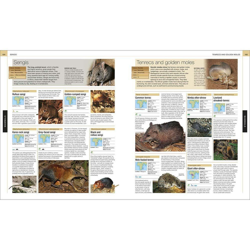 The Definitive Visual Guide - Animal (Hardback) DK UK