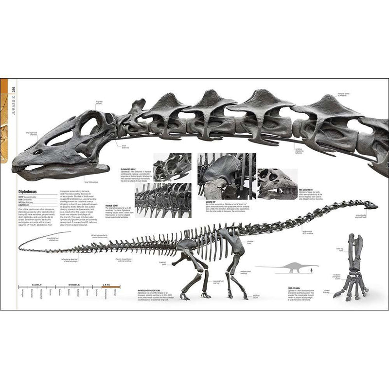 The Definitive Visual Guide - Dinosaurs and Prehistoric Life (Hardback) DK UK