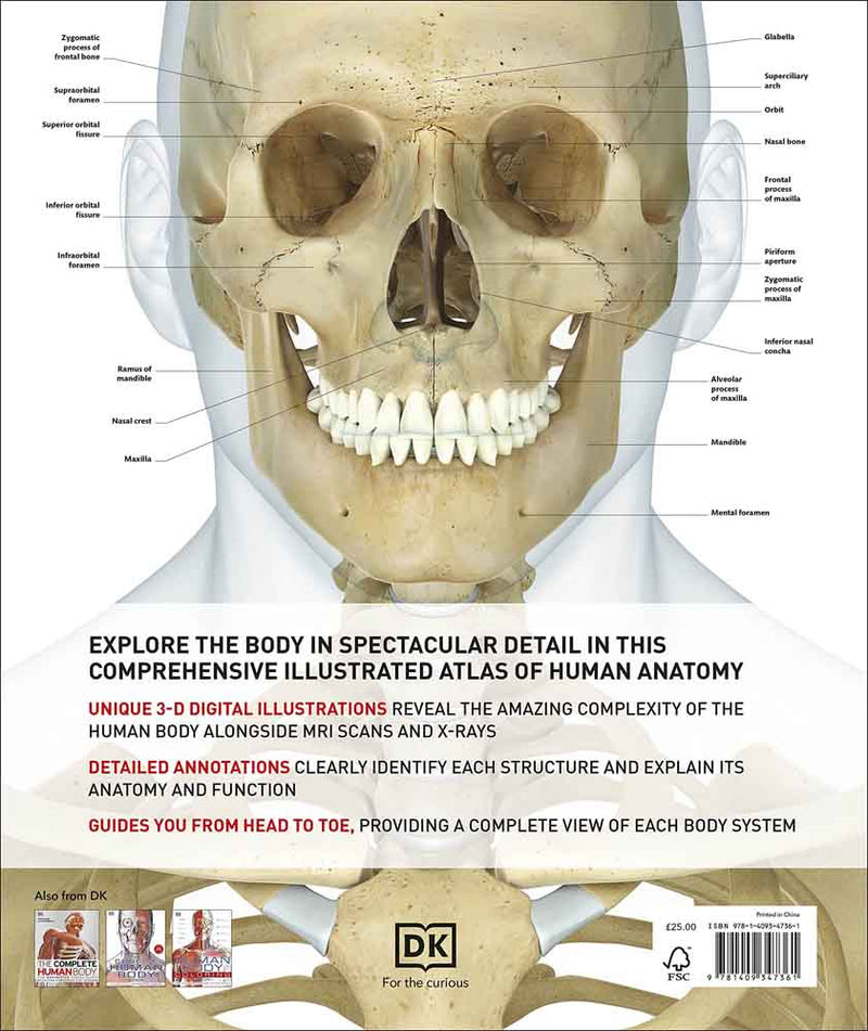The Definitive Visual Guide - Human Anatomy - 買書書 BuyBookBook