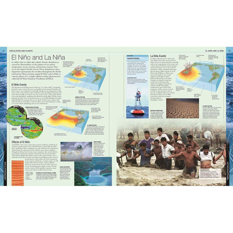 The Definitive Visual Guide - Ocean (Hardback) DK UK