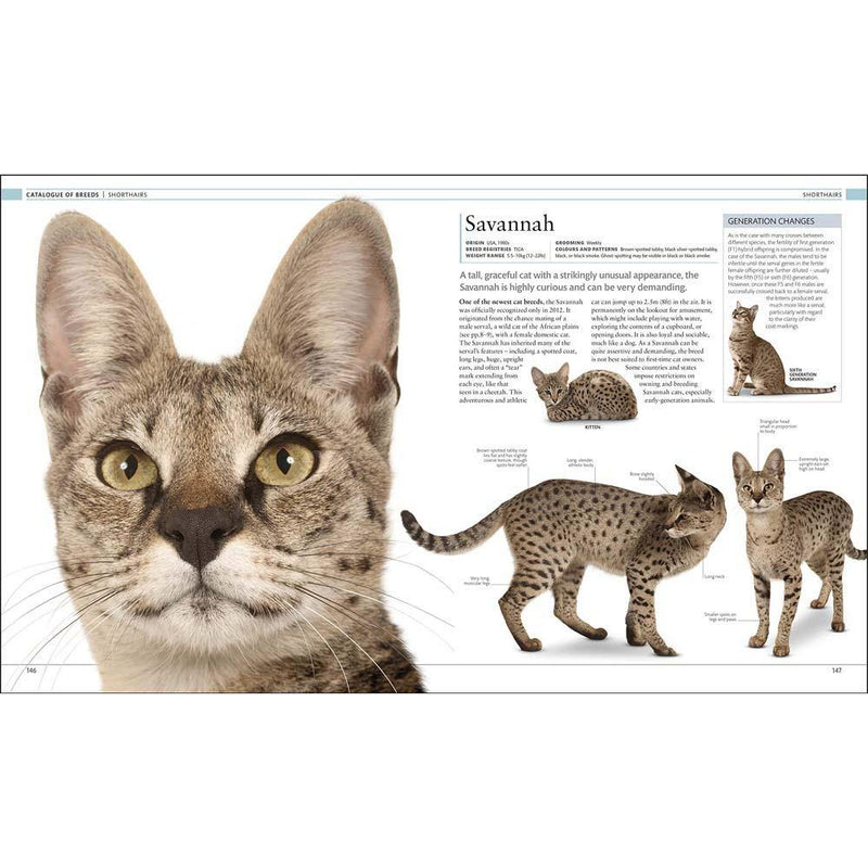 The Definitive Visual Guide - The Cat Encyclopedia (Hardback) DK UK