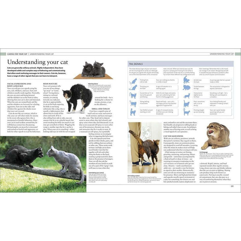 The Definitive Visual Guide - The Cat Encyclopedia (Hardback) DK UK