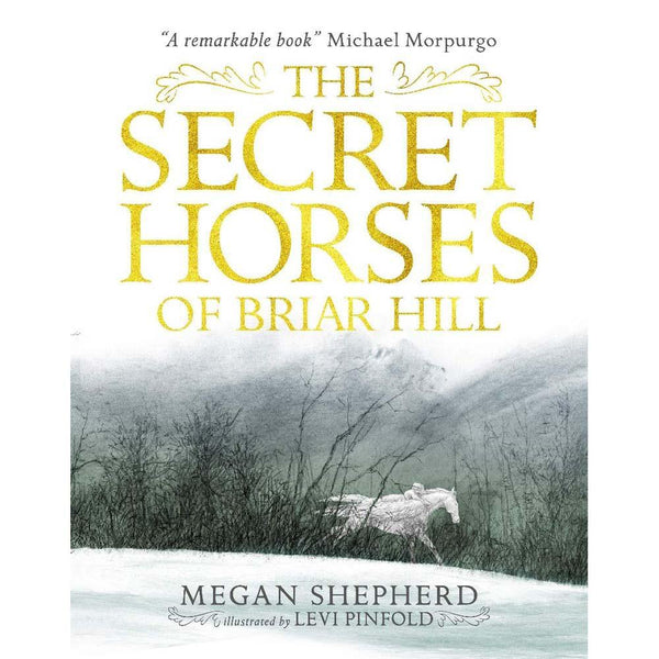 The Secret Horses of Briar Hill Walker UK