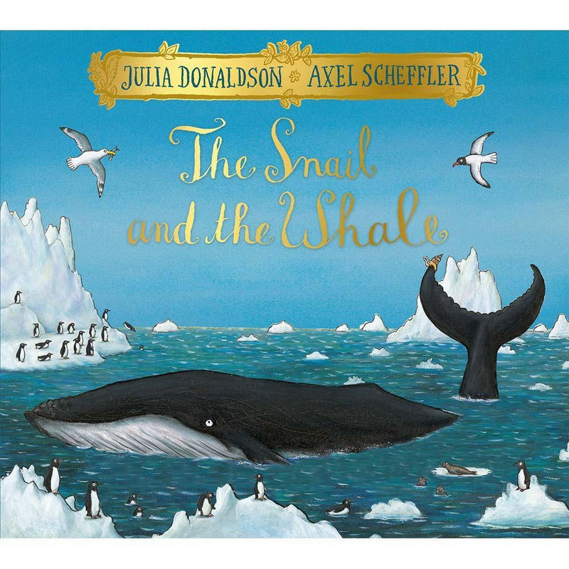 The Snail and the Whale (Paperback) (Julia Donaldson)(Axel Scheffler) Macmillan UK