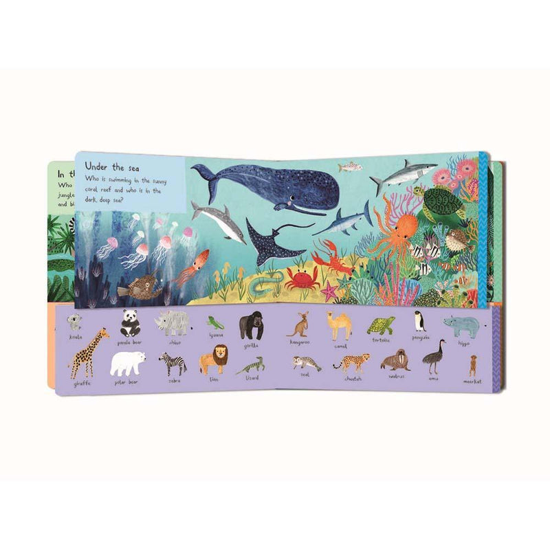 There Are 101 Animals in This Book (Board Book) Campbell