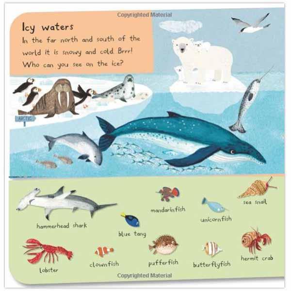 There Are 101 Sea Creatures in This Book (Board Book) Campbell