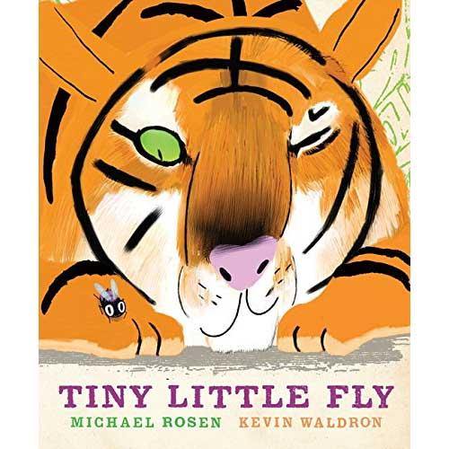 Tiny Little Fly (Paperback) Walker UK