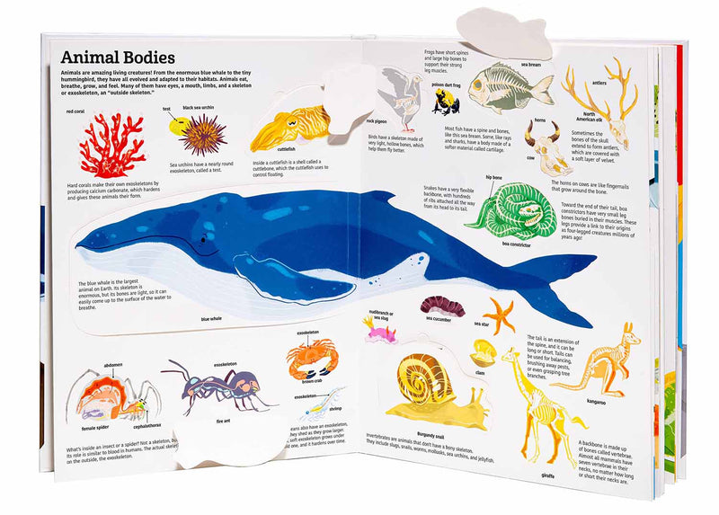 Ultimate Book of Animals, The (Hardback)(Pop-Up) Others