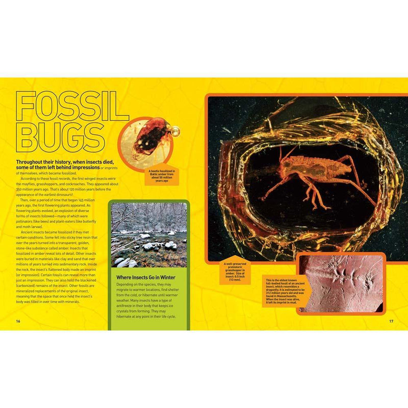 Ultimate Bugopedia (Hardback) National Geographic