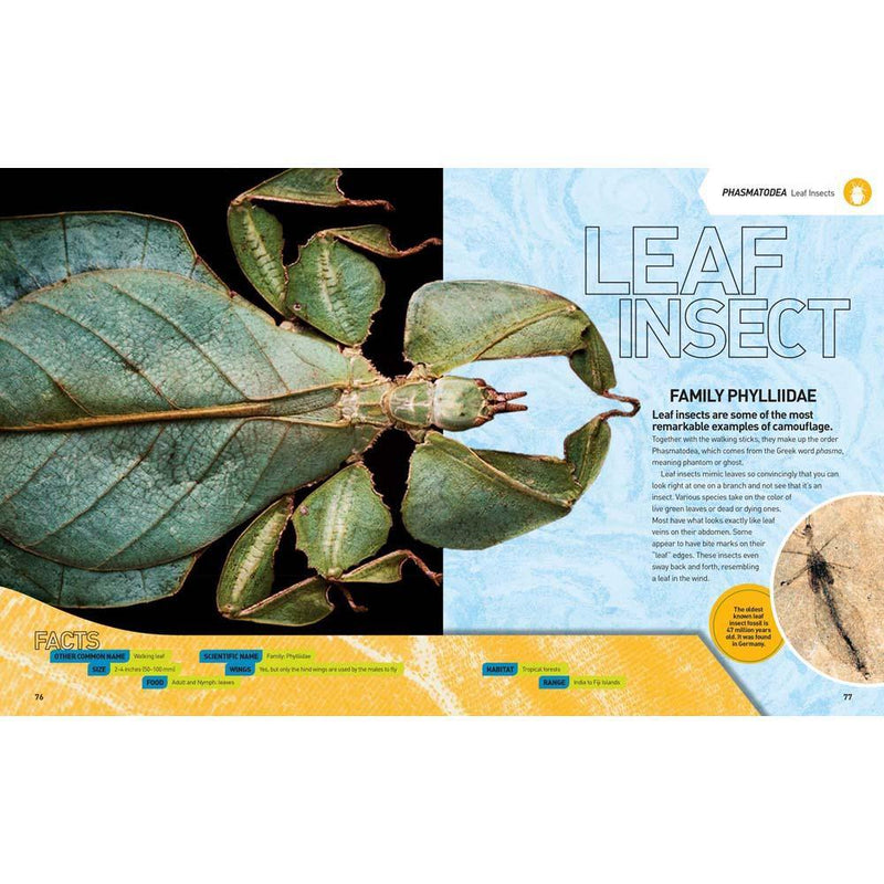 Ultimate Bugopedia (Hardback) National Geographic