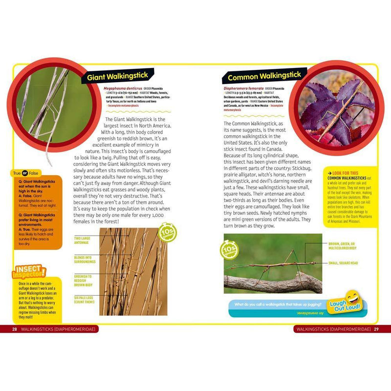 Ultimate Explorer Field Guide: Insects (National Geographic Kids) National Geographic