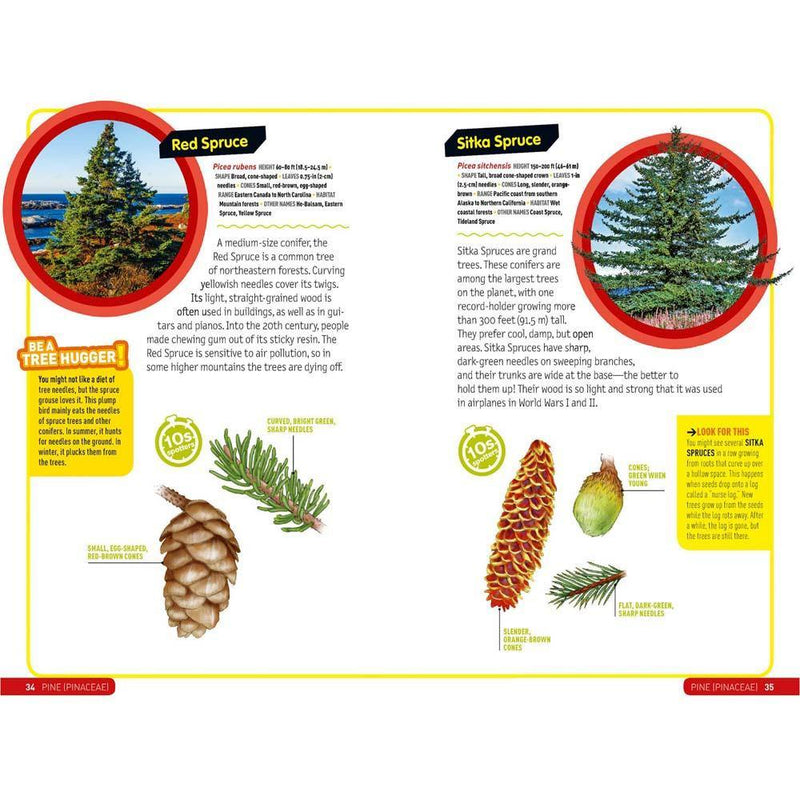 Ultimate Explorer Field Guide: Trees (National Geographic Kids) National Geographic
